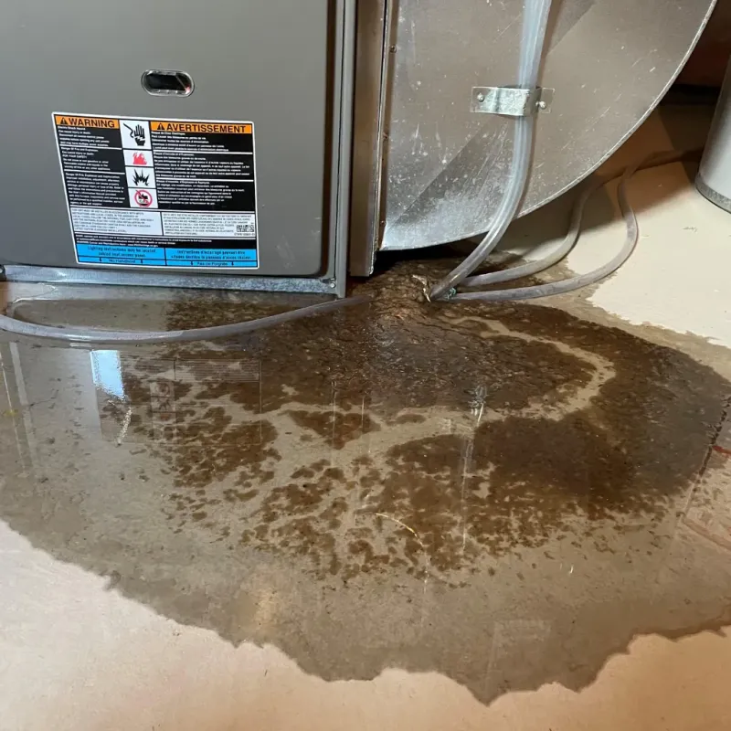 Appliance Leak Cleanup in Montgomery County, GA